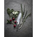 Global GS-5 vegetable chopper knife, 14 cm, decoration image