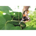Fiskars Solid Snip pruning shears SP150, decoration image