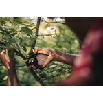 Fiskars Plus PowerLever pruner, bypass P721, decoration image