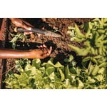 Fiskars Solid planting stick, decoration image