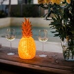 Goodnight Light The Pinacolada lamp, blush, decoration image