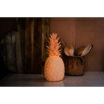 Goodnight Light The Pinacolada lamp, blush, decoration image