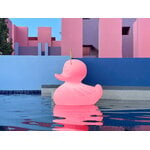 Goodnight Light The Duck Duck lamp, XL, pink, decoration image