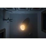 Foscarini Gregg Piccola wall/ceiling lamp, decoration image