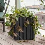 Squarely Copenhagen Fioriera GrowBIG, frassino nero - ruote nere