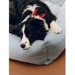HAY HAY Dogs bed, L, stripe, white - blue, decoration image