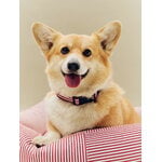 HAY HAY Dogs bed, M, stripe, red - white, decoration image