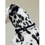 HAY Collare HAY Dogs, piatto, M-L, nero - bianco, immagine decorativa