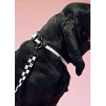 HAY Collare HAY Dogs, piatto, M-L, nero - bianco, immagine decorativa
