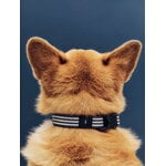 HAY HAY Dogs collar, flat, M-L, stripe, blue - white, decoration image
