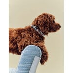 HAY HAY Dogs collar, flat, M-L, stripe, blue - white, decoration image