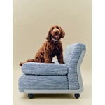 HAY HAY Dogs collar, flat, M-L, stripe, blue - white, decoration image