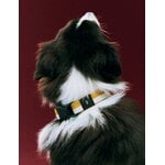 HAY HAY Dogs kaulapanta, litteä, M-L, luonnonvalkoinen - okra, sisustuskuva