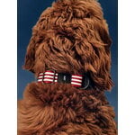 HAY HAY Dogs collar, flat, M-L, stripe, red - white, decoration image