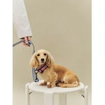 HAY HAY Dogs collar, flat, S-M, stripe, red - white, decoration image