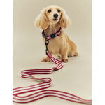 HAY HAY Dogs collar, flat, S-M, stripe, red - white, decoration image
