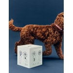 HAY HAY Dogs food storage, large, blue - white, decoration image