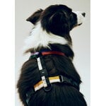 HAY Guinzaglio HAY Dogs, M, multicolore, immagine decorativa