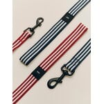 HAY HAY Dogs leash, flat, M-L, stripe, red - white, decoration image