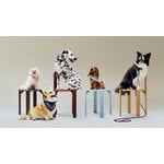 HAY Guinzaglio HAY Dogs, intrecciato, rosso - blu, immagine decorativa