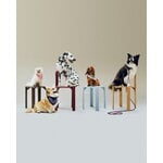HAY Guinzaglio HAY Dogs, intrecciato, rosso - blu, immagine decorativa
