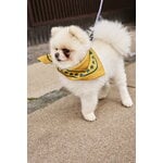 HAY HAY Dogs scarf, 55 x 55 cm, ockra