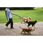 HAY HAY Dogs leash, flat, M-L, blue - off-white