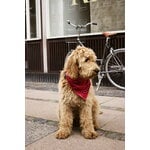 HAY HAY Dogs scarf, 55 x 55 cm, red