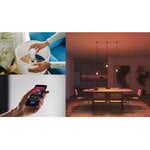 Philips Hue Essential starter pack: E27 bulb, 2 pcs, dimmer switch, Bridge, decoration image