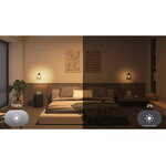 Philips Hue Essential starter pack: E27 bulb, 2 pcs, dimmer switch, Bridge, decoration image