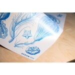 Louisiana Museum of Modern Art Haeckel - Crinoideae blue - Ocean 2024, A2 juliste, sisustuskuva