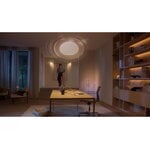 Philips Hue Bridge Pro, black, decoration image