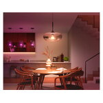 Philips Hue White and Color Ambience smart bulb 8.1W A60 E27 1100lm 1000-20000K, decoration image