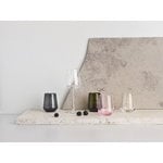 Iittala Verre à vin rouge Essence, lot de 4