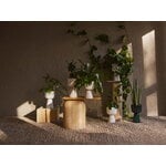 Iittala Vaso per piante Nappula, L, bianco, immagine decorativa
