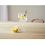 Iittala Essence cocktail glass, 63 cl, 4 pcs, clear