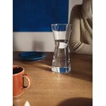 Iittala Kartio karaff 95 cl, klar