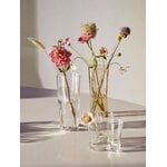 Iittala Aalto vase, 250mm, clear