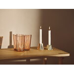 Iittala Aalto candleholder, 65 mm, brass