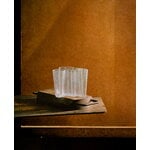 Iittala Aalto vase, 160 mm, bubble glass clear, decoration image