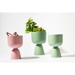 Iittala Nappula maceta, S, menta mate, imagen de decoración