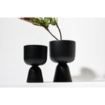 Iittala Nappula maceta, S, negro mate, imagen de decoración