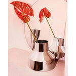 Iittala Solare vase bas, 220 x 200 mm, acier, image décorative