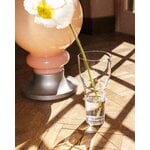 Iittala Solare vase tall, 120 x 260 mm, clear, decoration image