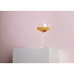 Iittala Verre à cocktail Essence, lot de 2