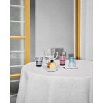 Iittala Aino Aalto pitcher 120 cl, clear, decoration image
