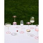 Iittala Essence Rotweinglas, rosé, Set mit 2 Stück, dekorationsbild