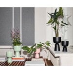 Iittala Nappula maceta, S, menta mate, imagen de decoración