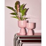 Iittala Nappula maceta, S, rosa mate, imagen de decoración