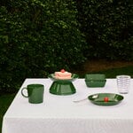 Iittala Teema mug, 0,3 L, hunter, decoration image